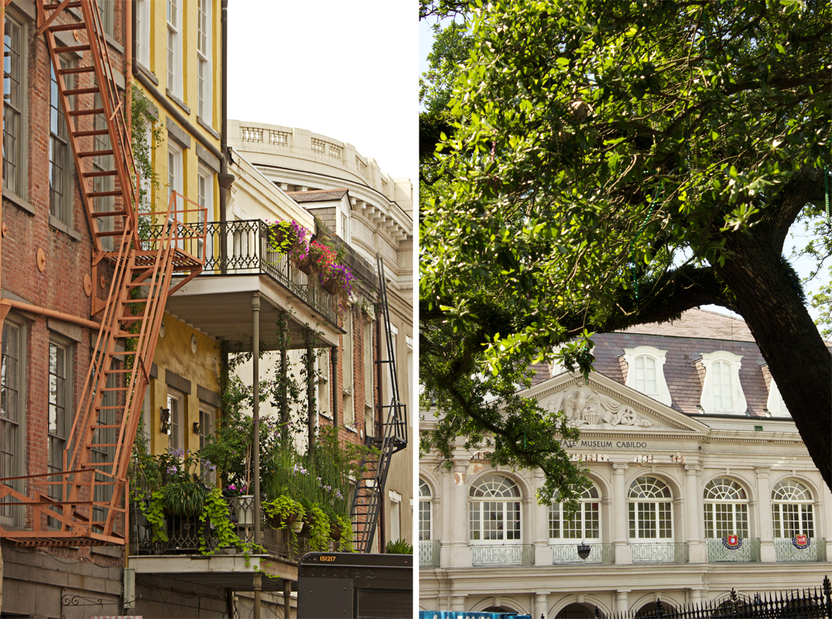 foliage in NOLa -photo by Quiet Lion Creations