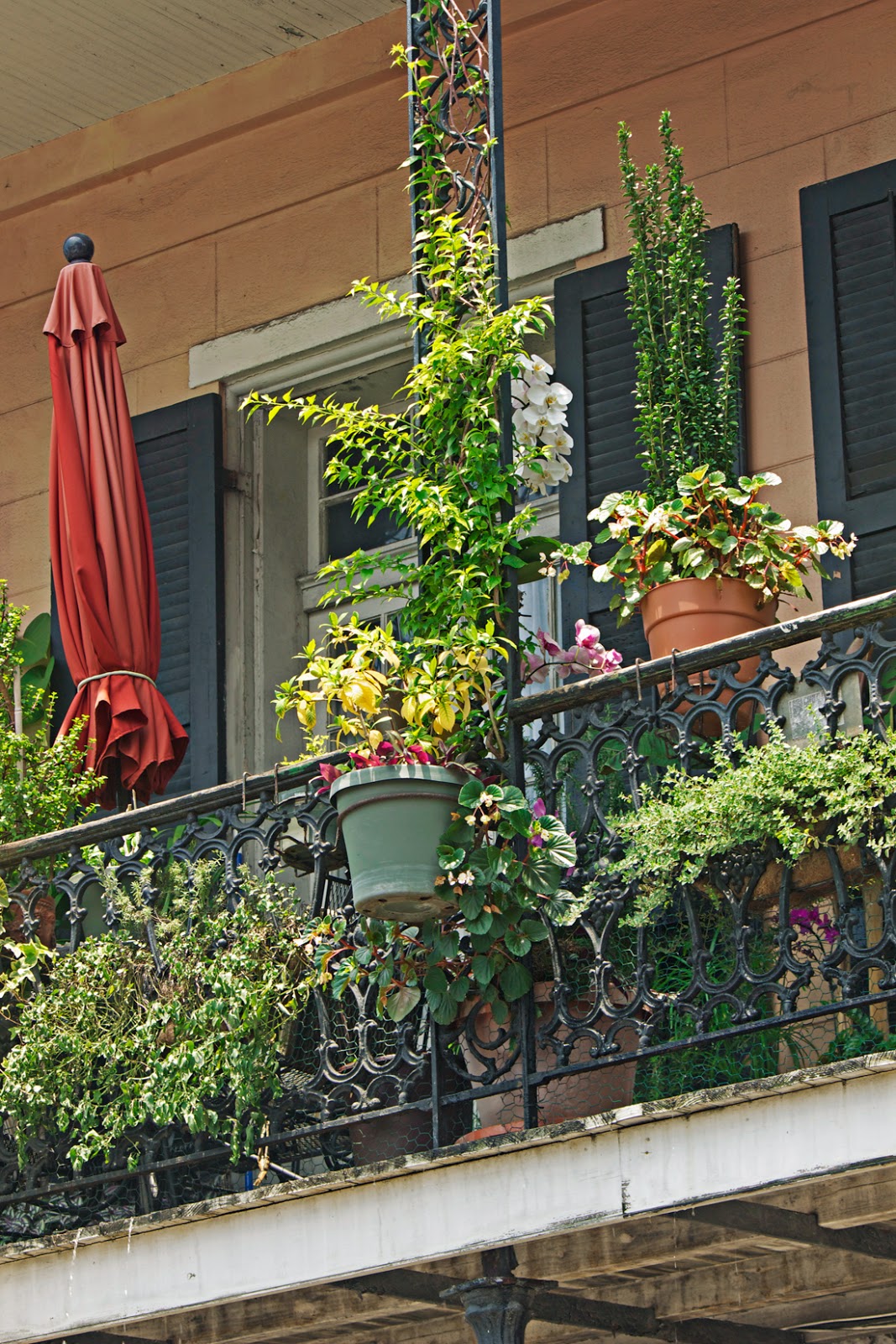 New orleans French Quarter gardens - copyright Allison Beth Cooling