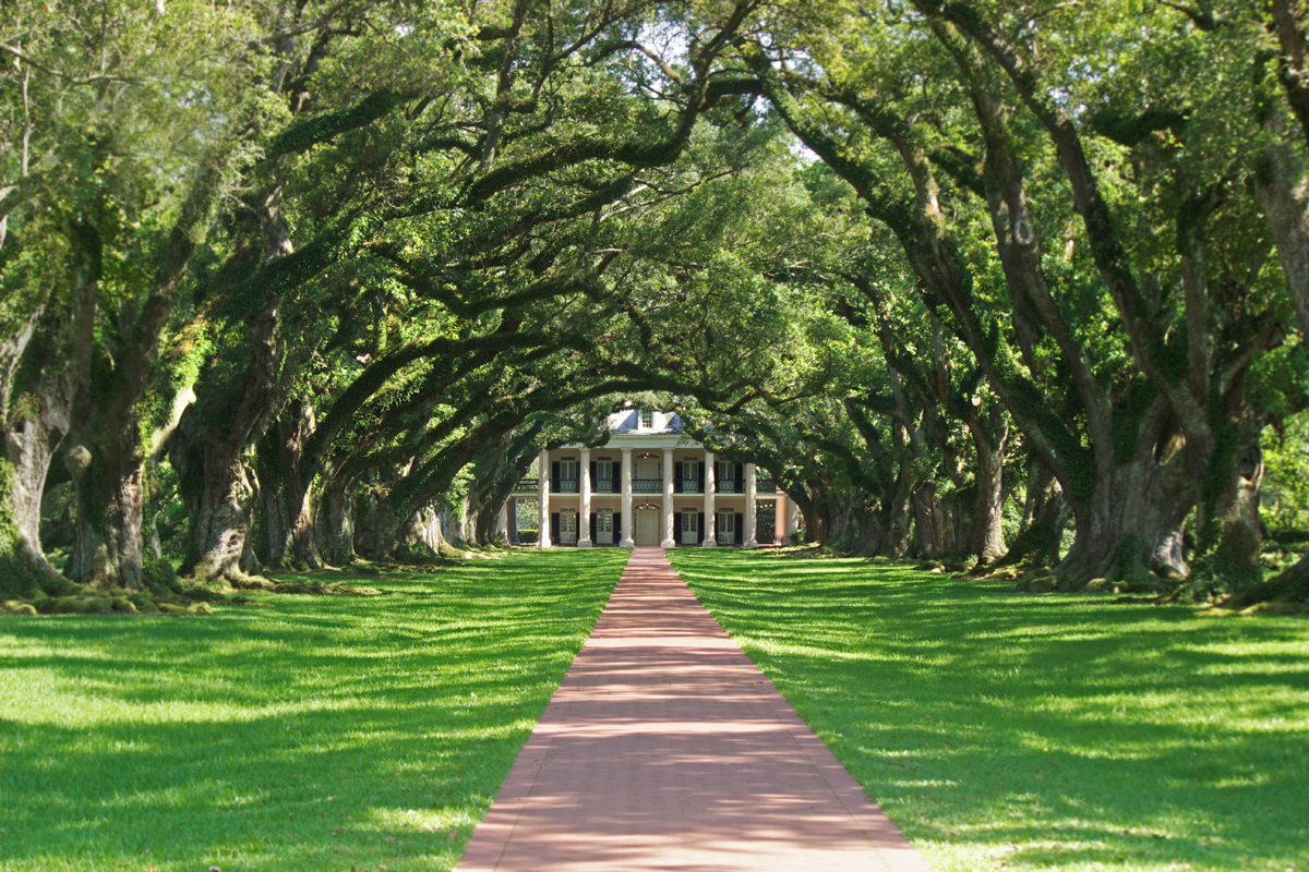 Oak valley Plantation -photo by Quiet Lion Creations