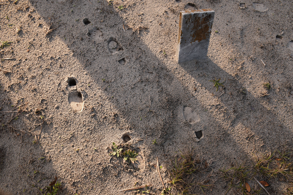 Fashion Lookbook by Quiet Lion Creations, quietlioncreations.com. Photo Copyright Allison Beth Cooling. Model: Emily Geer