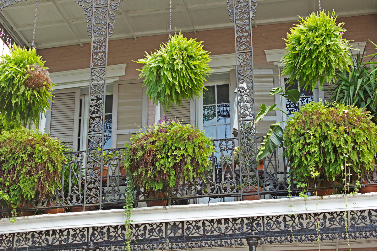 French Quarter gardens -photo by Quiet Lion Creations