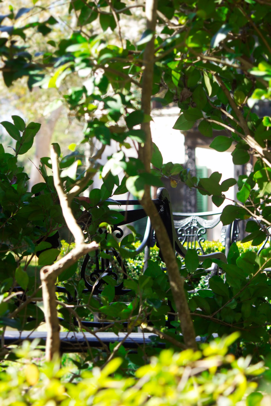 bayou bend houston - photo copyright Allison Beth Cooling