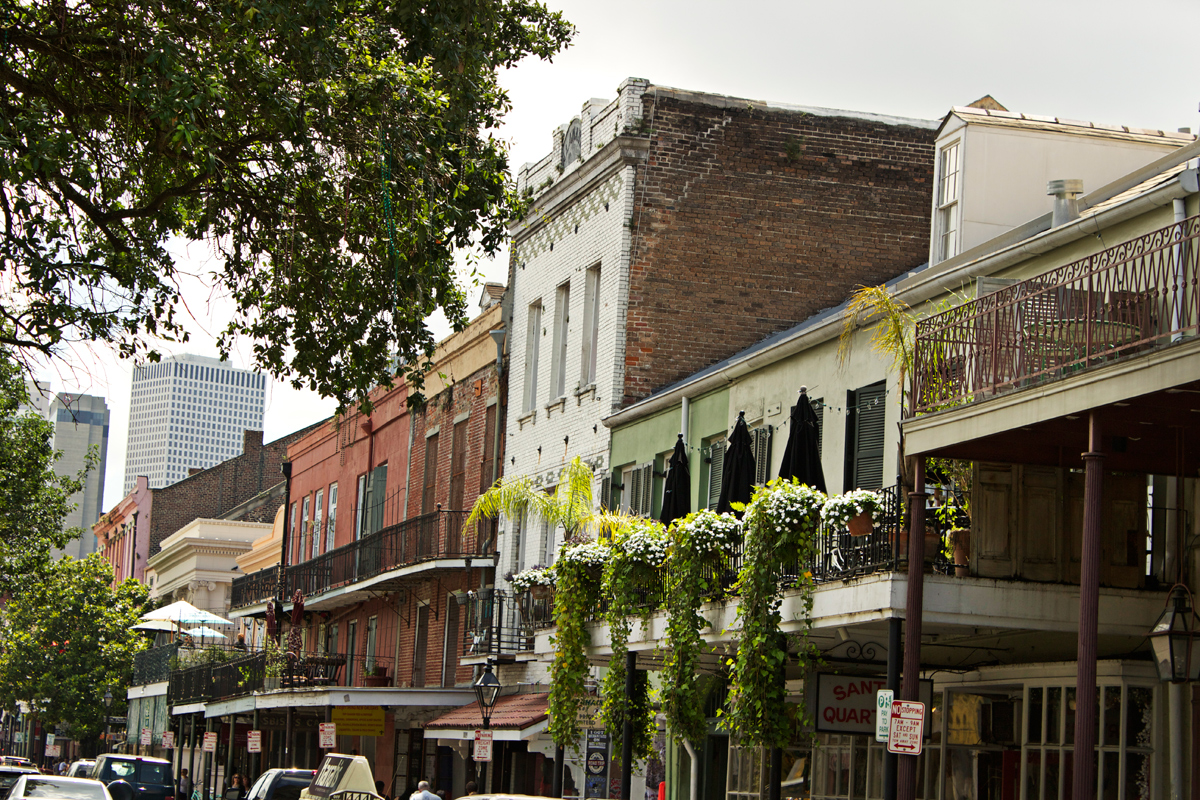 NOLA -photo by Quiet Lion Creations
