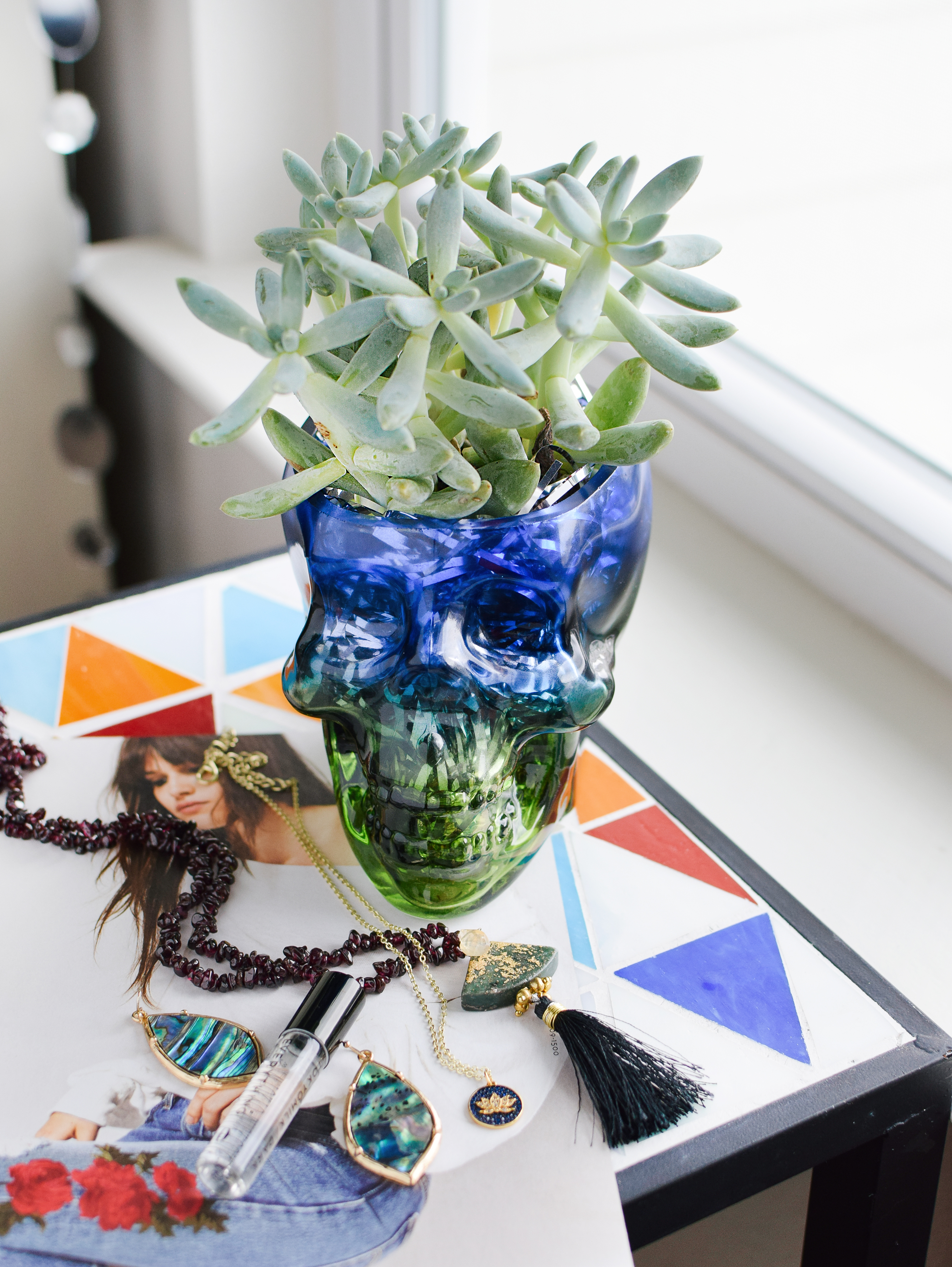 diy skull succulent quiet lion creations, quietlioncreations.com