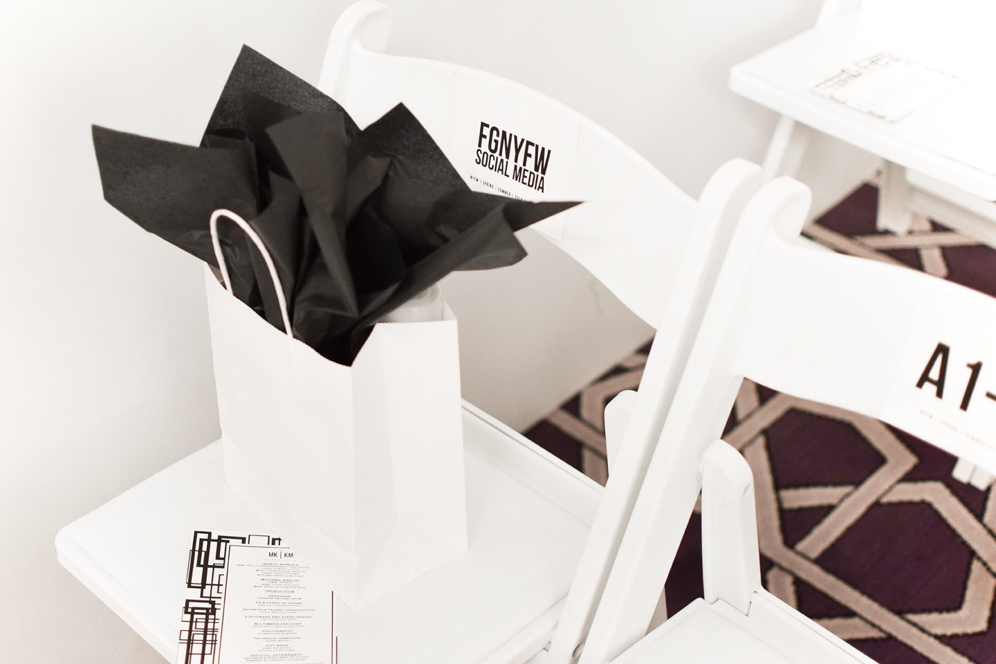 NYFW 2017 - Photo Copyright Allison Beth Cooling width=