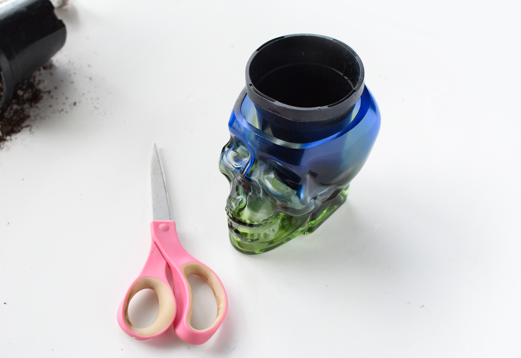 diy skull succulent quiet lion creations, quietlioncreations.com